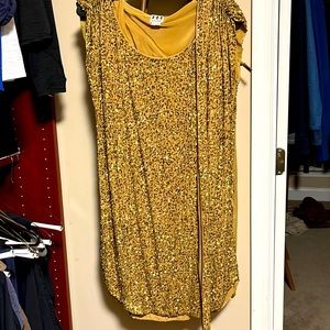 Haute Hippie Gold Sequin Dress